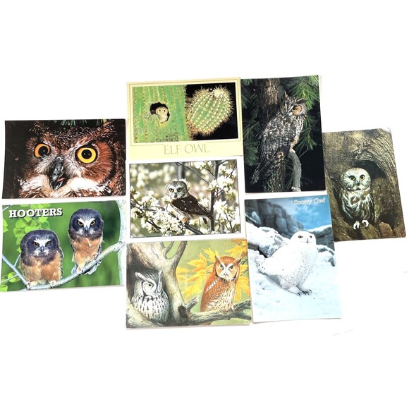 Vintage Owl Postcard Lot 8 Ephemera Paper Crafts Scrapbooking - Picture 1 of 10